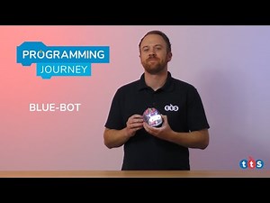 TTS Programming Journey - Blue-Bot