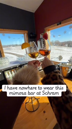 Schram Vineyards Winery & Brewery | You know that outfit you love… but never have anywhere to wear it? ✨ This is your sign. Join us for Bubbles and Besties on February 7th,... | Instagram
