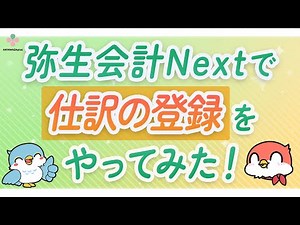 はじめて弥生会計Nextで仕訳を入力してみました！【HAYAWAZAplus】