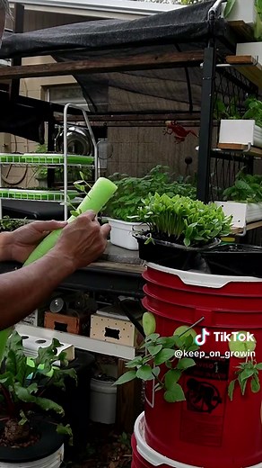 DIY Hydroponics for Growing Food with Pool Noodles