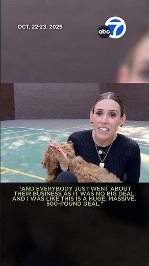 Mama bear, cubs spotted lounging in tree in Encino