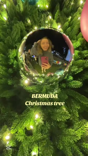 Celebrating Christmas in Bermuda , the tree lighting #bermuda #islandlife