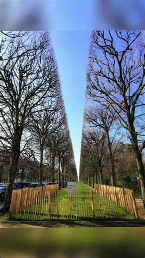 Oddly Satisfying: Perfect Alignments and Colors. Satisfactory pictures