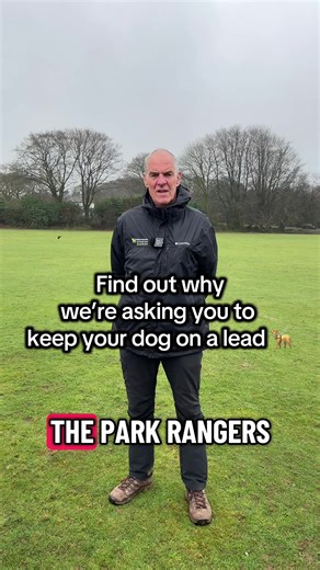 Thank you for helping us to #takethelead from March 1 - July 31 to ensure everyone can appreciate the wonders of Dartmoor, while respecting its wildlife and habitat 💚. #dartmoor #wildlife #habitat #dogs