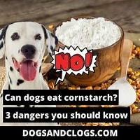 Can Dogs Eat Cornstarch? 3 Dangers You Should Know (2023) - DogsAndClogs