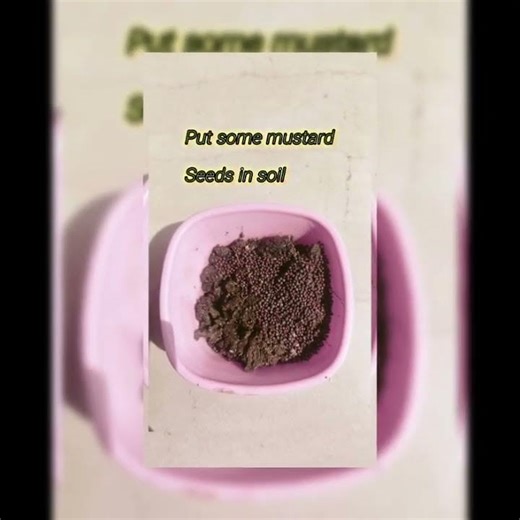 Organic farming - growing nature's way#organic