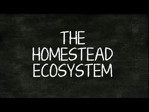 What is Permaculture? Here's our Homestead Ecosystem // Every Animal’s Role in our Homestead