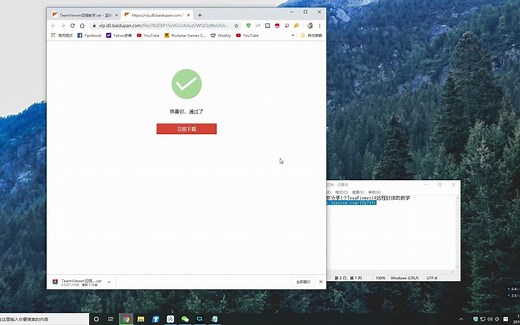 TeamViewer 14远程软件破解安装自动解除限制✅