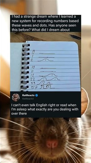 The dream involved learning an unfamiliar numerical recording method