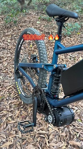 Experience the Power of the ECC Ride 1000W Ebike