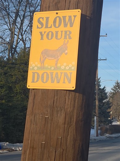 Innovative Street Sign to Slow Down Speeders