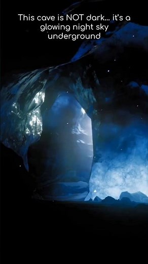 Waitomo Glowworm Caves Experience 🇳🇿 | Nature's Underground Galaxy