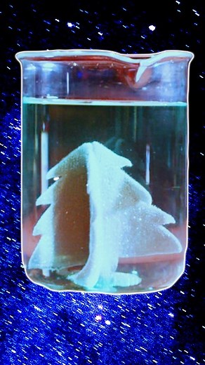 24K views · 377 reactions | Watch as Wizard-in-Training Ethan celebrates the upcoming holiday by learning how to make a Christmas tree from silver nitrate. Full video on our Page! #scienceexperiments #handsonscience #educational #science #FacebookReelsContest #facebook #education #facebookreels #reels #STEM | Midnight Science Club | Facebook