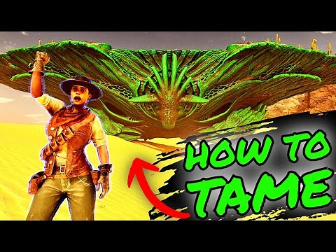 How to TAME An OASISAUR!!! How To EASILY and QUICKLY TAME ANY OASISAUR in Ark Survival Ascended!!