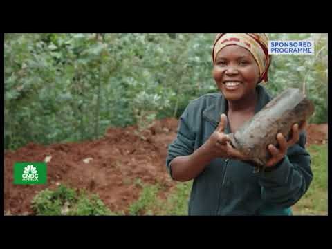 Discover Rwanda: Nyungwe Reimagined - CNBC Africa