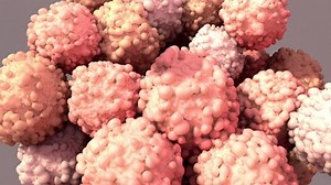 T-cells Work Fight Cancer Immunotherapy Car Stock Footage Video (100% Royalty-free) 1072700621 | Shutterstock