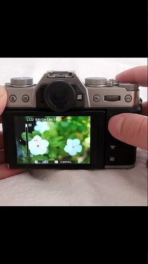 The Camera Histogram: Why is it Important?