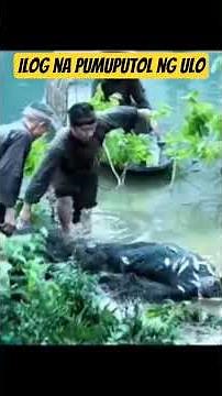 Ilog na Pumupugot #rickytv #tagalogmovierecap #film #lifeisbutadream #movie #horror #pinoymovierecap