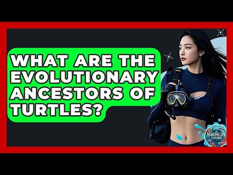 What Are The Evolutionary Ancestors Of Turtles? - The Marine Life Explorer