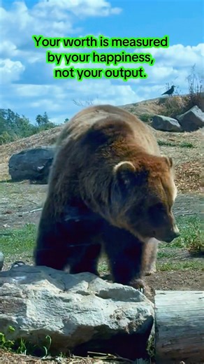 Rise above your internalized oppression and choose you!!!! #internalizedoppression #chooseyou #love