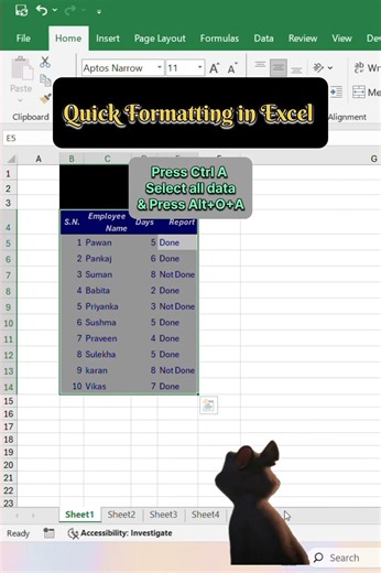 How to use Quick Formatting in Excel