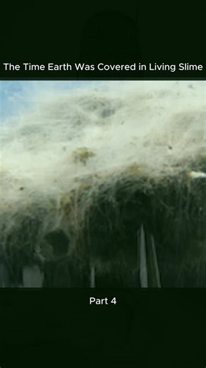 The Role of Microbial Mats in Prehistoric Evolution