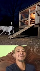 881K views · 12K reactions | শিয়াল ও কুকুর। #Amazing #OMG #reels #BMW #foryou | BSL Saokat TECH 30 | Facebook