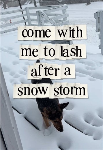 it’s a winter wonderland out there ❄️ book some lashes to get you through the winter 🥰 #ctlashartist #animelashextensions #newhavenlashes #customlashextensions