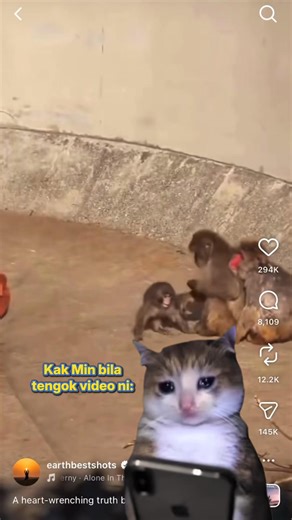 Kak Min ada soft spot untuk Punch 🥺 Auto book trip to Japan untuk hug Punch because he deserve all the loveeeeeee 😭 Nasib baik nak settle benda untuk trip ni senang, semua hujung jari je! #TNGeWallet #GOtravel #Travel #SafeTrip #TraveleSIM #TravelDeals | Touch ‘n Go eWallet