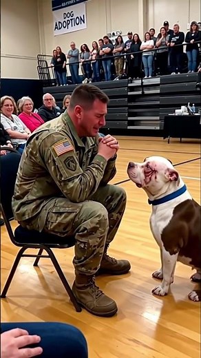 They Let Rescue Dogs Choose Their New Owners