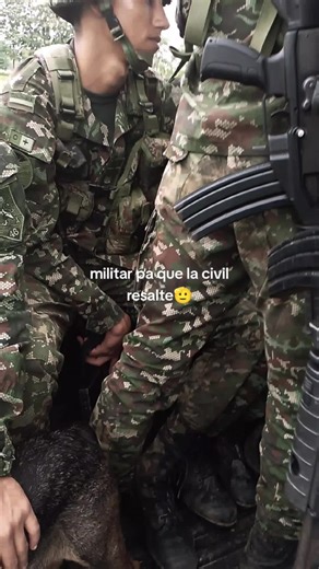 Videos de ``Rodriguez full biker (@drgnint.rdrgz) con “sonido original - ``Rodriguez full biker”