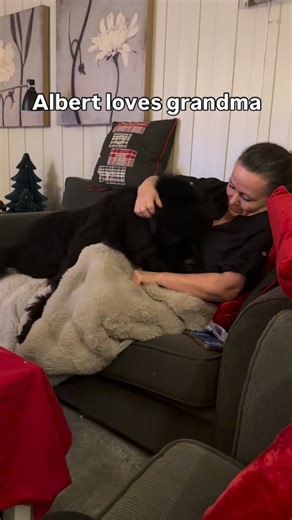 Heartwarming dog moments: Why grandma gets all the love