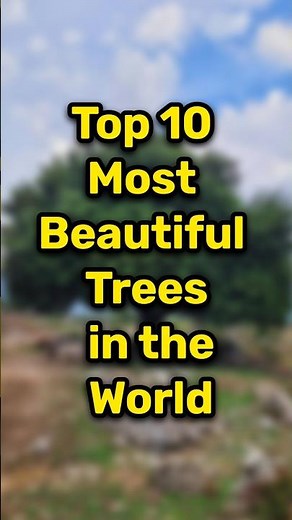 Top 10 Most Beautiful Trees in the World 2025 🌳✨ | Nature’s Hidden Wonders