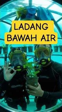 LADANG BAWAH AIR. SAYURAN DI DASAR LAUT | LADANG BAWAH AIR DI DASAR LAUT | LADANG BAWAH AIR NEMO'S