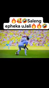 🤣🔥🥰🔥🤣🤣Jali knows him very well🤣🤣🤣Monnapule Saleng🤣🤣🤣🤣🤣 | Frank Mxolisi Masondo