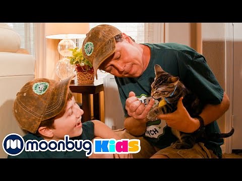 Dinosaur vs Mystery Pet ‪@TRexRanch‬ | Jurassic TV | Dinosaur Videos for Kids
