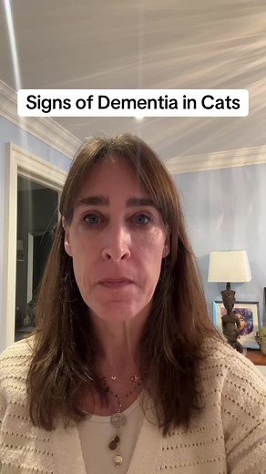 Signs of Dementia in Cats: What to Watch For