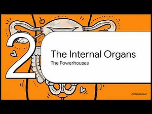 [Organ System Anatomy] 2. Female Reproductive System