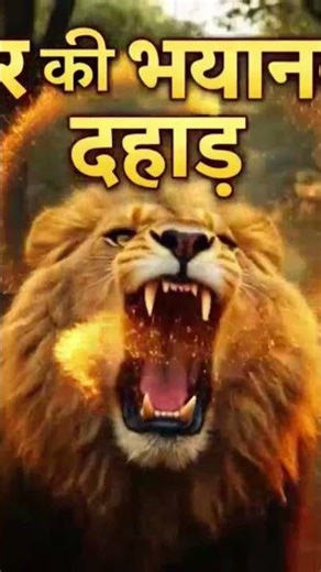 “शेर की भयानक दहाड़ सुनो 😱 | Lion Roaring Compilation | Tiger Sound #shorts”