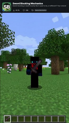 Sword Blocking Mechanics Mod #shorts