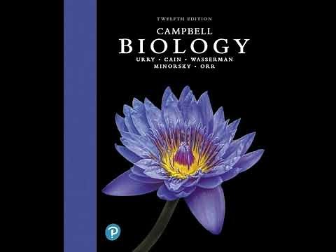 Energy and Enzymes in Metabolic Pathways | Chapter 8 – Campbell Biology