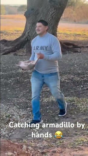 Catching armadillo by hand