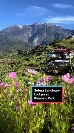 Loved my stay at @Sutera Sanctuary Lodges at Kinabalu Park! #sabahtourism #sabahtravel #kundasang #ranau #sabah #northborneo #benuzair #kinabalugeopark #kinabalupark #sabahparks
