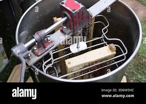 Manual honey extractor spins frames to remove honey, while outdoor surroundings beekeeping