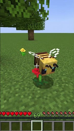 How to Get Honey in Minecraft