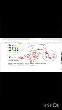 Past paper mcqs | Bernard-Soulier & Glanzmann | GPIb vs GPIIb/IIIa MCQ | #Shorts