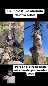 30K views · 149 reactions | God is good!  #treeservicenearm #treeexpervideo #treeexper #treeservicenearme #treeservice #treeclimber #treecare #fypシ #funnyvideos | Humbe Ortiz | Facebook