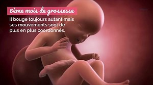 26K views · 1K reactions | L’évolution du foetus mois par mois Credit: Doctissimo | Biologie Simplifiée | Facebook