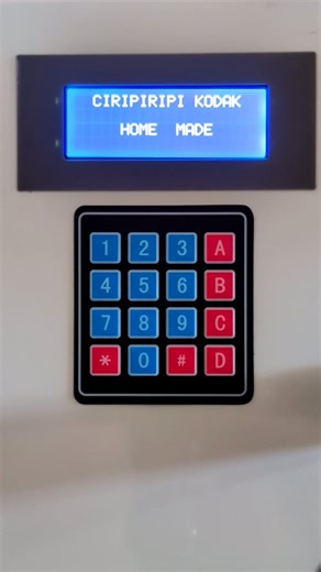 DIY processor - C41 + RA4 using Bellini kit