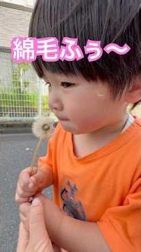 【2歳に実況】たんぽぽの綿毛を見つけて🌼ふぅ〜 #2歳5ヶ月 #2歳 #男の子 #育児 #子育て #かわいい #育児 #子育て #かわいい #たんぽぽ #タンポポ #綿毛 #わたげ #自然 #花